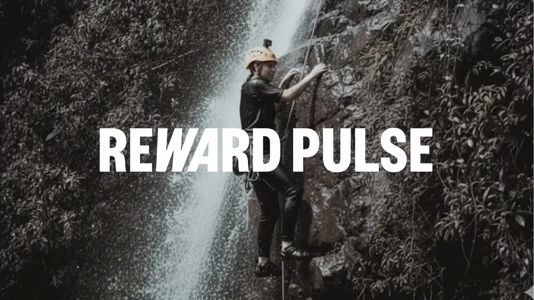 Logo RewardPulse
